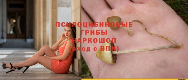 mdpv Арсеньев