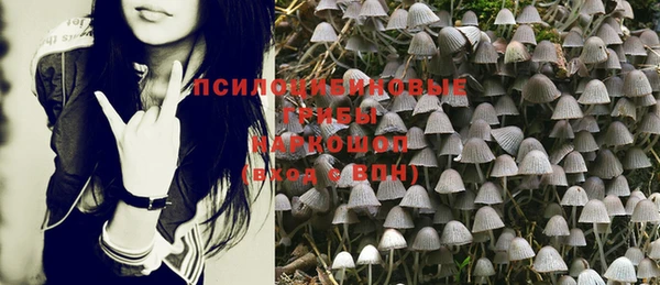 молекула духа Армянск