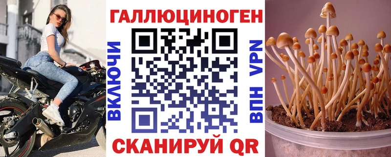 Псилоцибиновые грибы Magic Shrooms  Купить закладки  Старица 